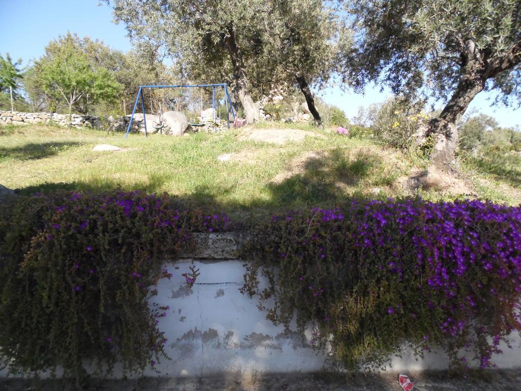 Villa L'Oleandro Oliena Luaran gambar