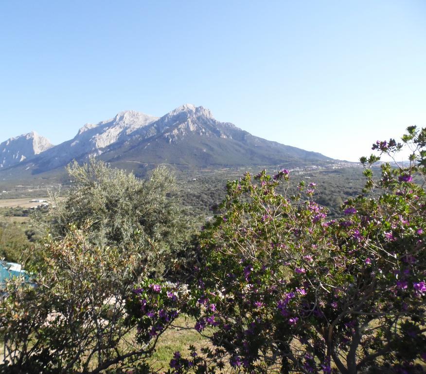 Villa L'Oleandro Oliena Luaran gambar