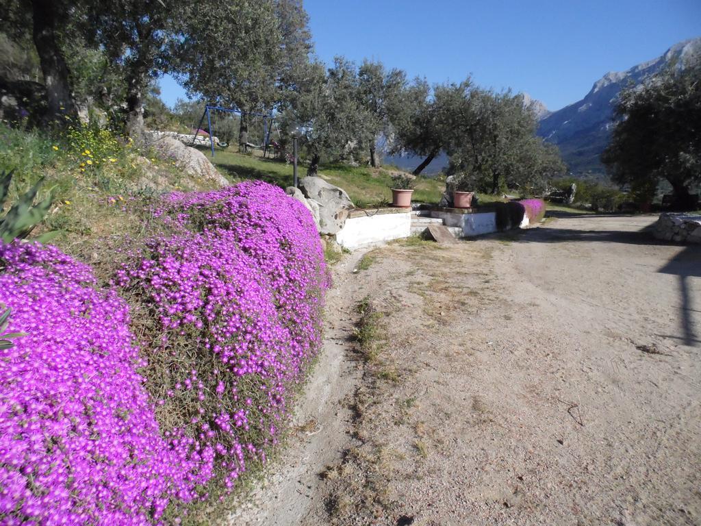Villa L'Oleandro Oliena Luaran gambar