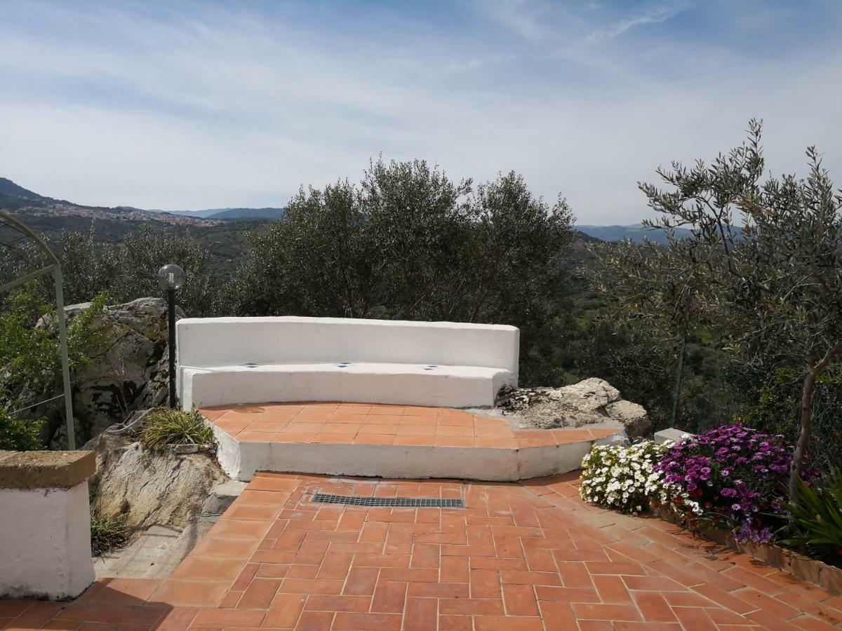 Villa L'Oleandro Oliena Luaran gambar