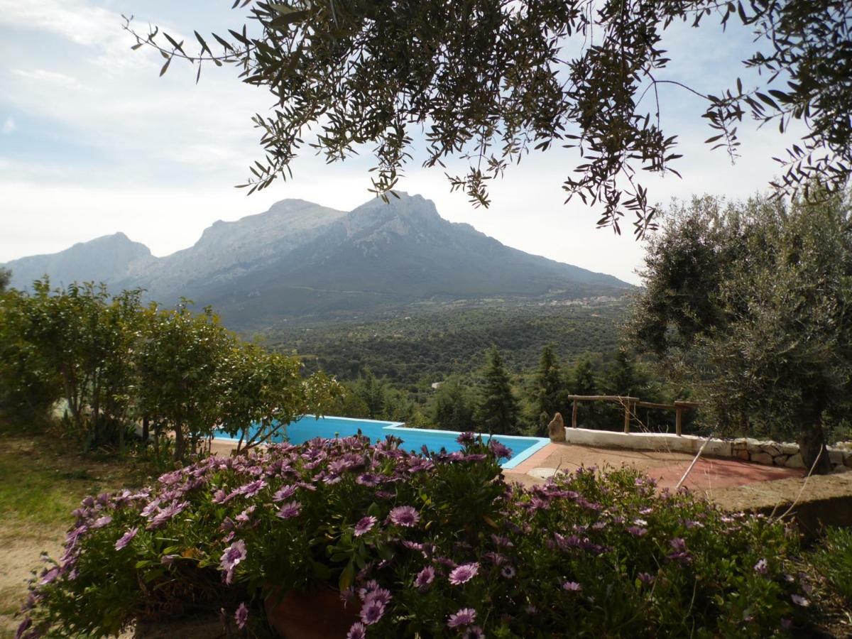 Villa L'Oleandro Oliena Luaran gambar