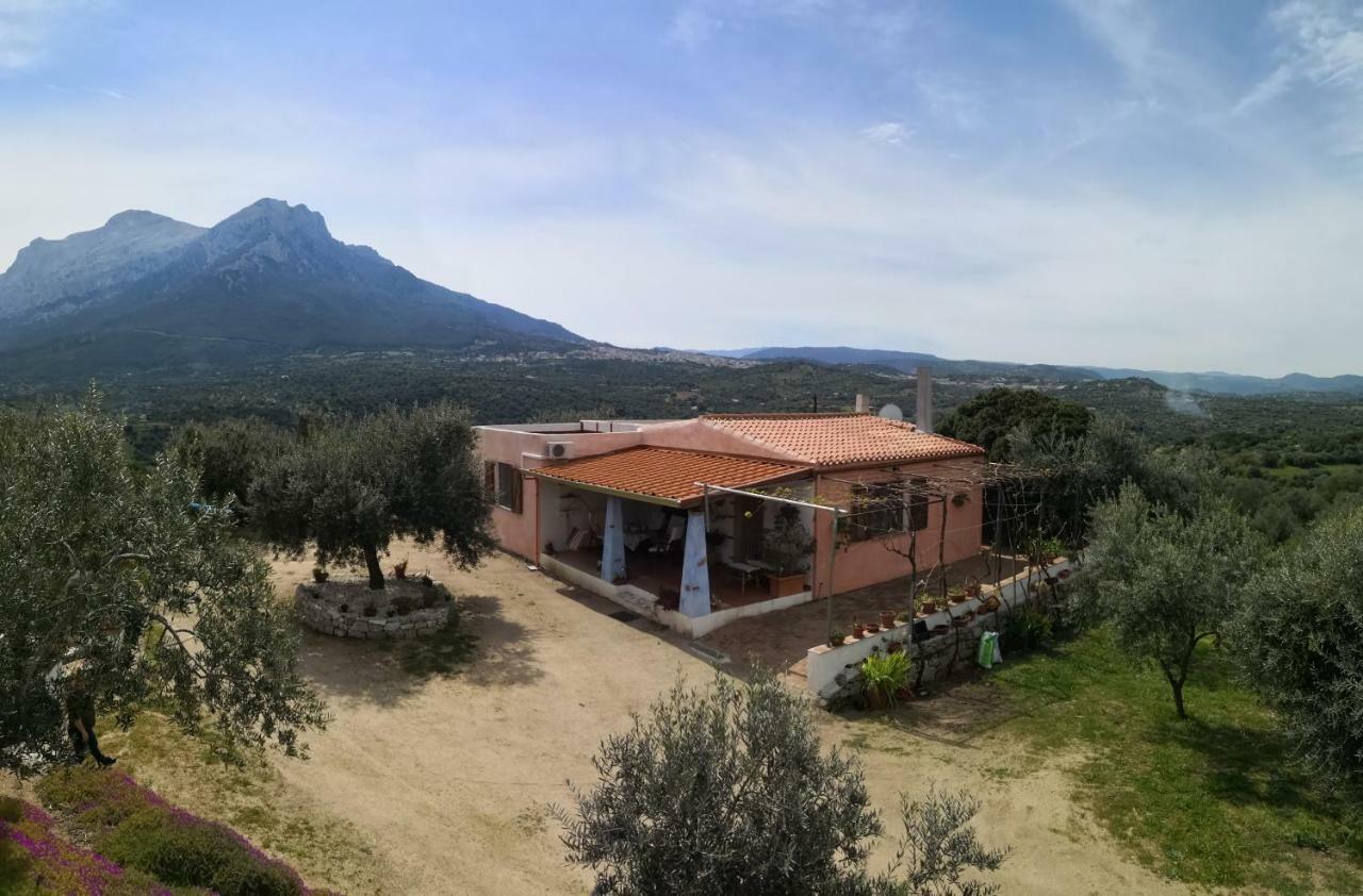 Villa L'Oleandro Oliena Luaran gambar