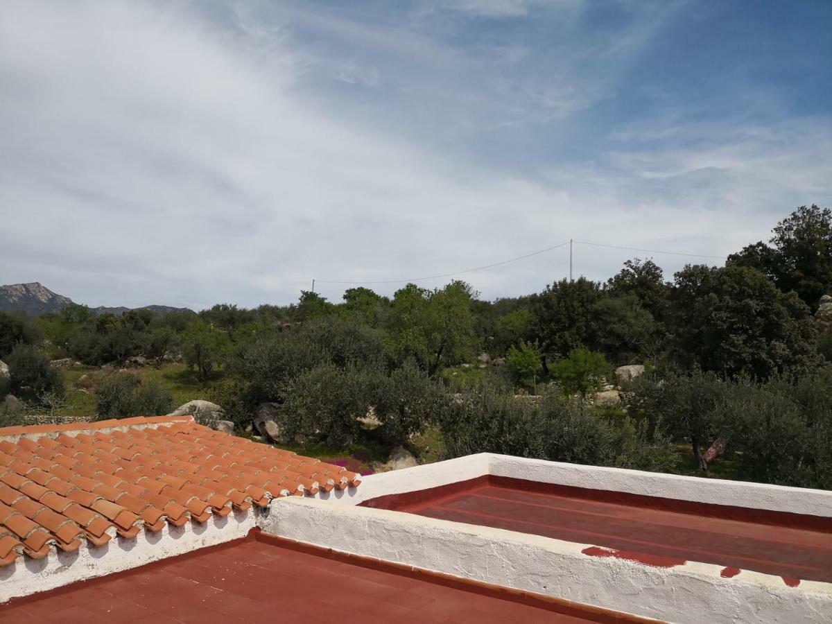 Villa L'Oleandro Oliena Luaran gambar
