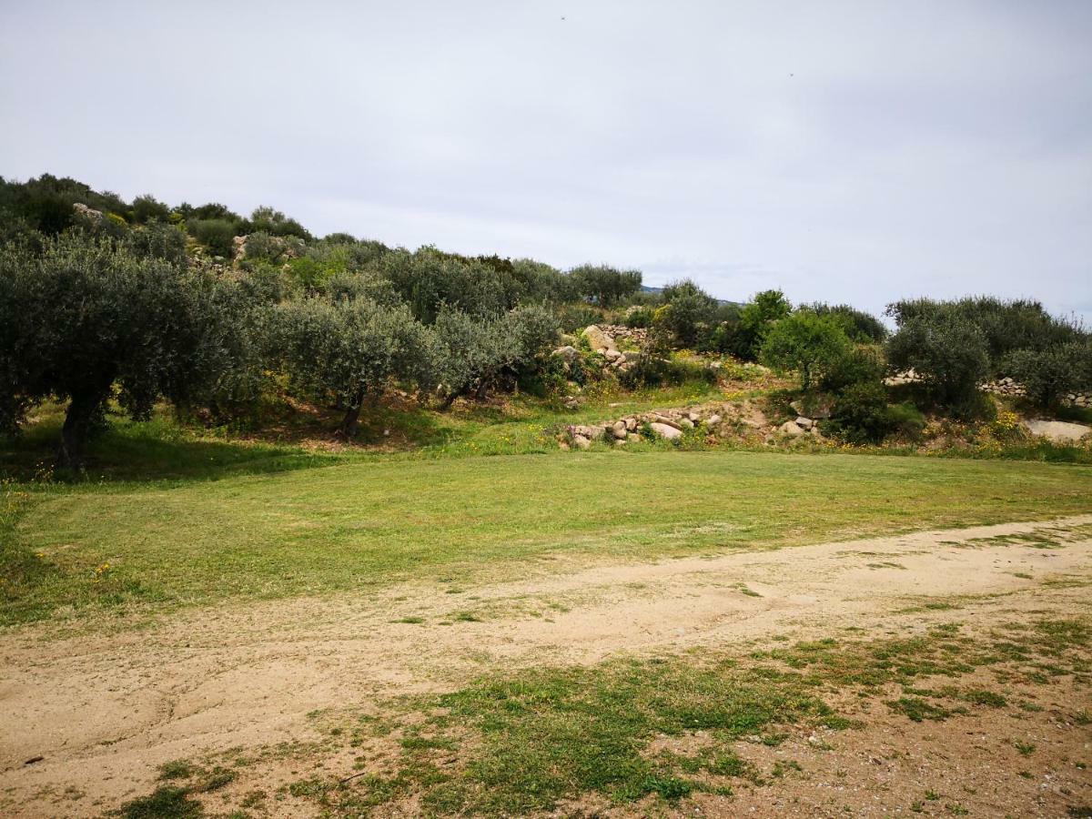 Villa L'Oleandro Oliena Luaran gambar