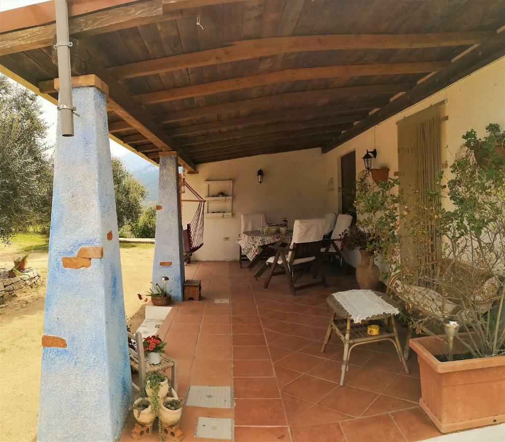 Villa L'Oleandro Oliena Luaran gambar