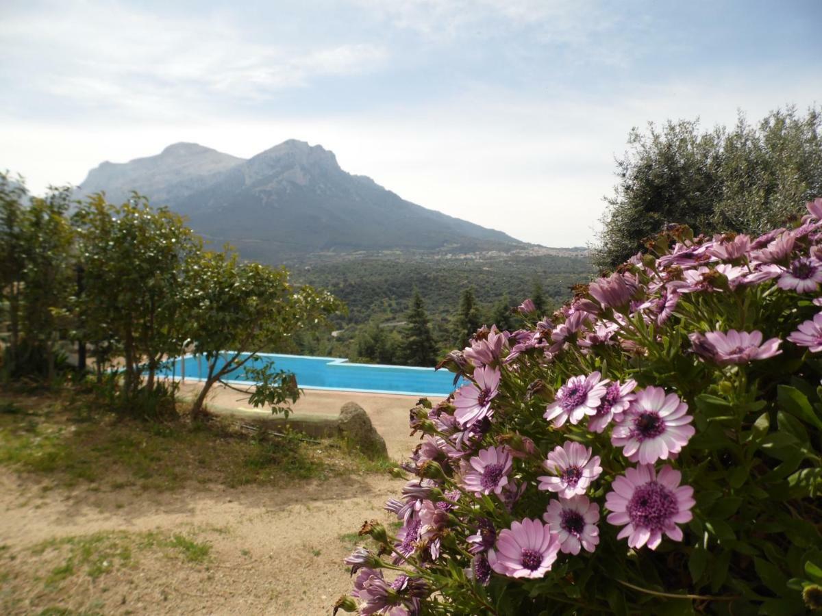 Villa L'Oleandro Oliena Luaran gambar